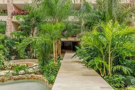 New Syrena Stylish Studios Rooftop Pool Near Beach Playa del Carmen